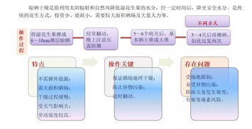 首屆花生生態峰會盛大召開，全方位解讀物業管理及配套服務新生態
